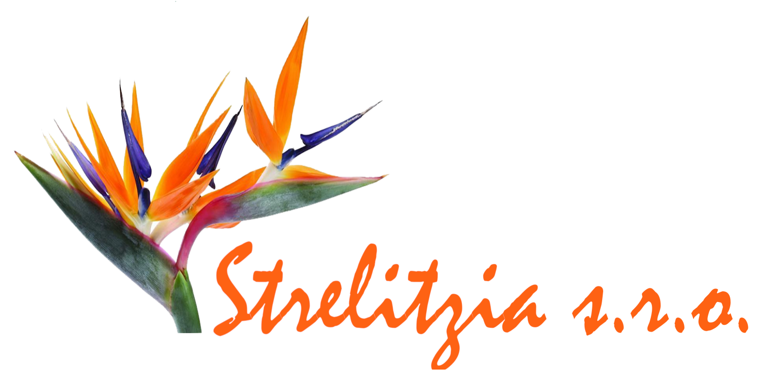 Strelitzia s.r.o.